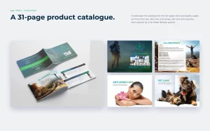 Product catalogue brochure mockup and spreads