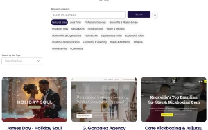 Website template gallery with category filters